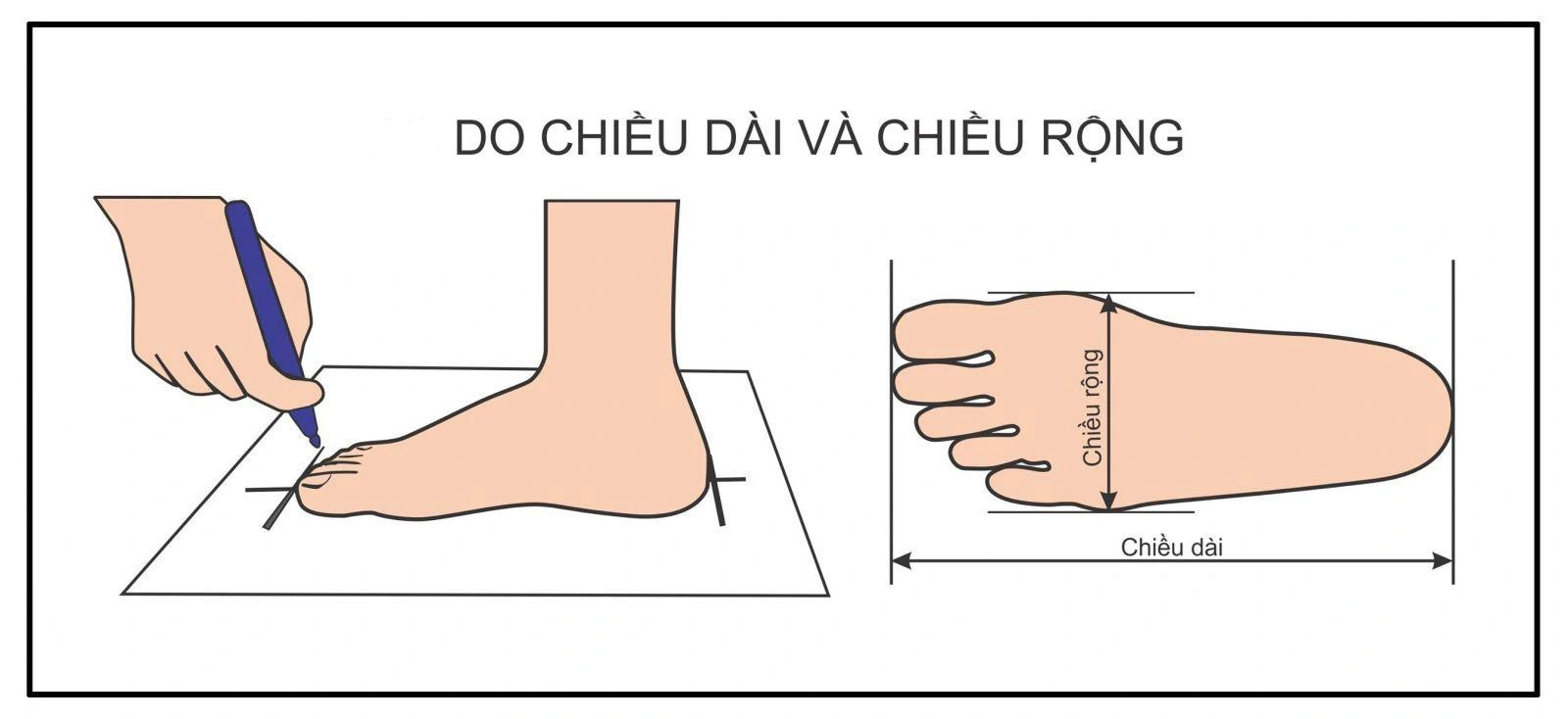 Hiểu rõ cấu trúc và kích thước bàn chân là bước nền tảng để chọn giày leo núi đúng chuẩn