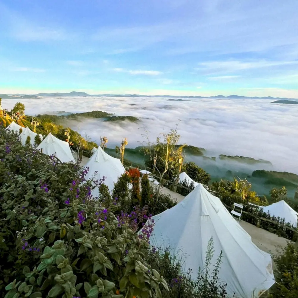 Cắm trại Đà Lạt: Biển mây sáng sớm tại Cloud9 Glamping
