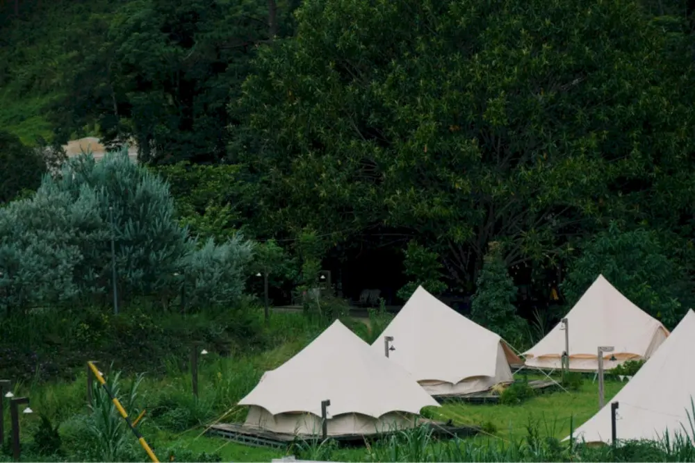 Cắm trại tại Dalat Camp