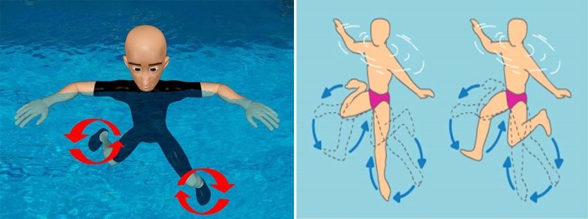 Kỹ thuật đứng nước kiểu bơi chó là một cách đơn giản để giữ nổi.