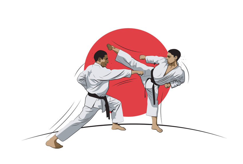 Karate là môn võ thuật Nhật Bản và không sử dụng vũ khí 