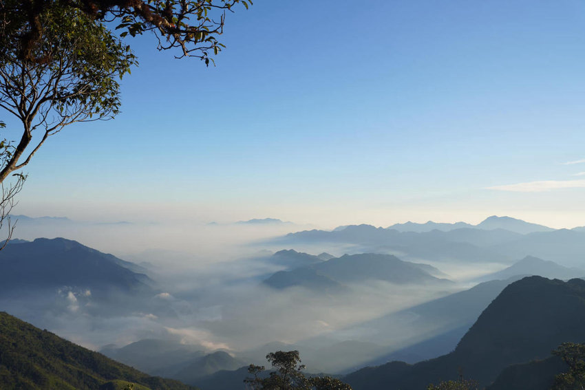 Cung đường Hang Chú ít hiểm trở hơn tại đỉnh Tà Xùa, phù hợp cho người mới trekking