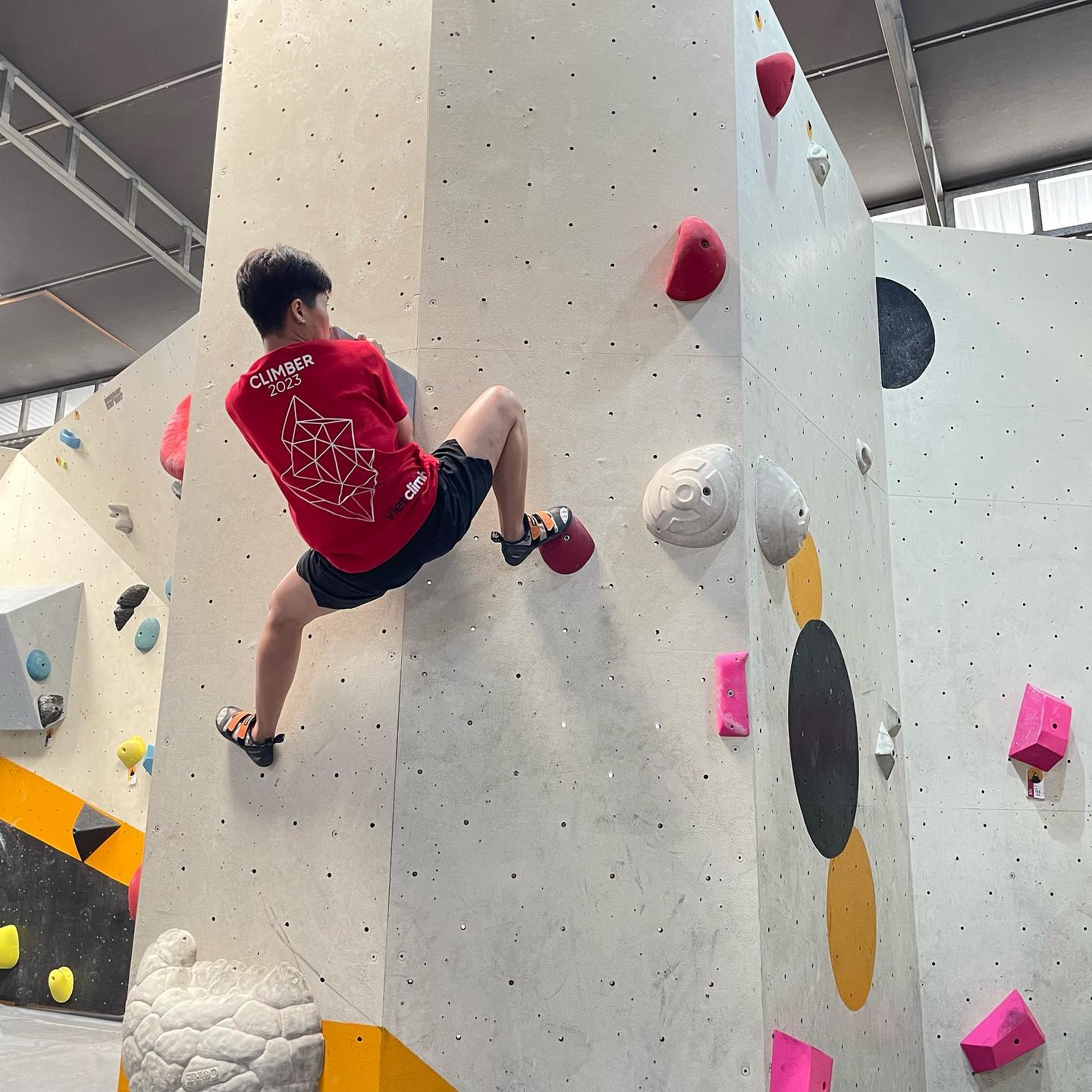 Khu vực leo núi tại Vertical Academy, một địa điểm nổi bật cho leo núi trong nhà TP.HCM