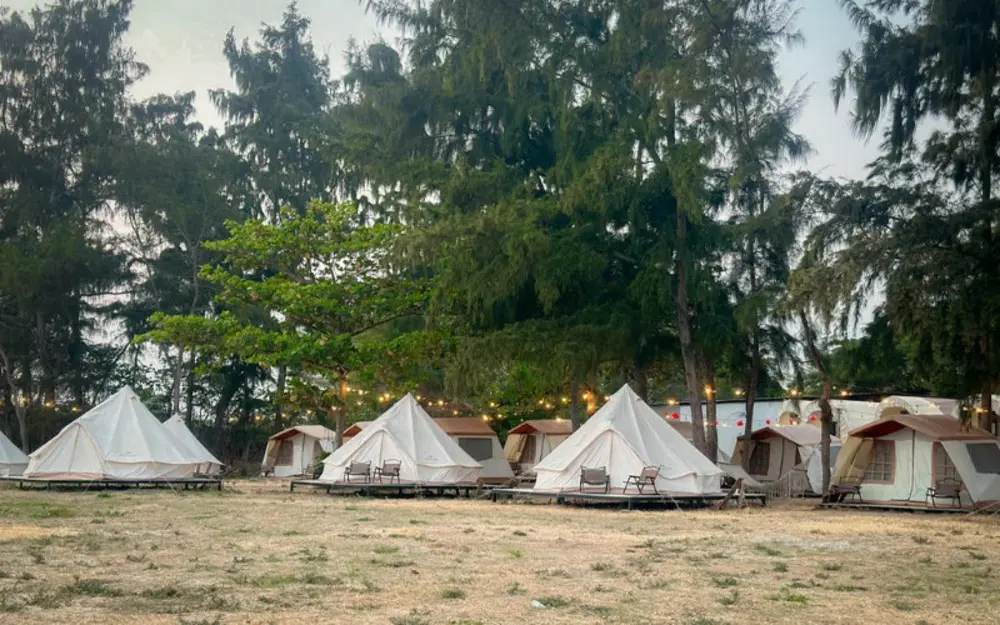 Lều Mông Cổ rộng rãi tại Lata Camping, một lựa chọn hấp dẫn cho trải nghiệm cắm trại gần biển ở Cần Giờ, gần Sài Gòn