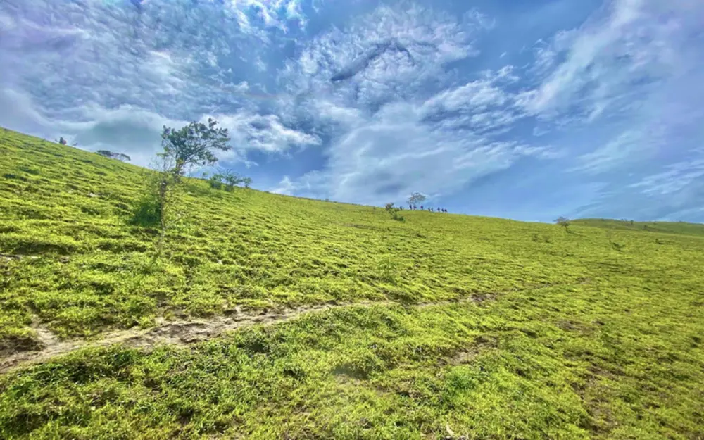 Đồi cỏ rộng lớn và xanh mướt trên cung đường trekking Tà Năng