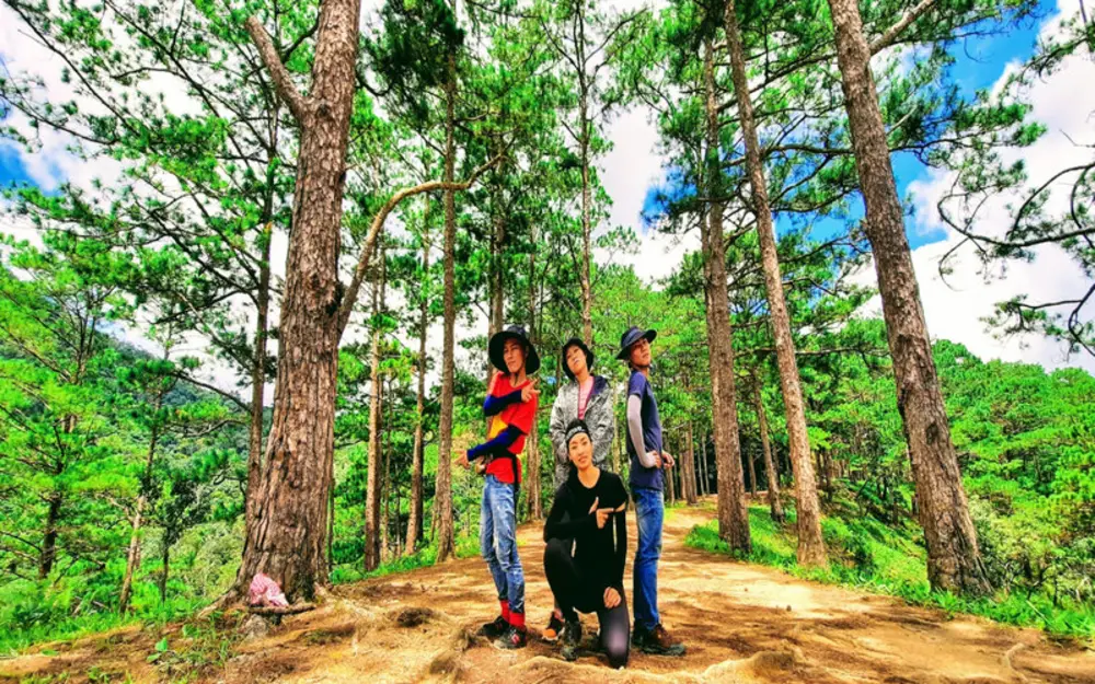 Rừng thông ba lá rợp bóng, khung cảnh yên bình trên đường trekking Tà Năng