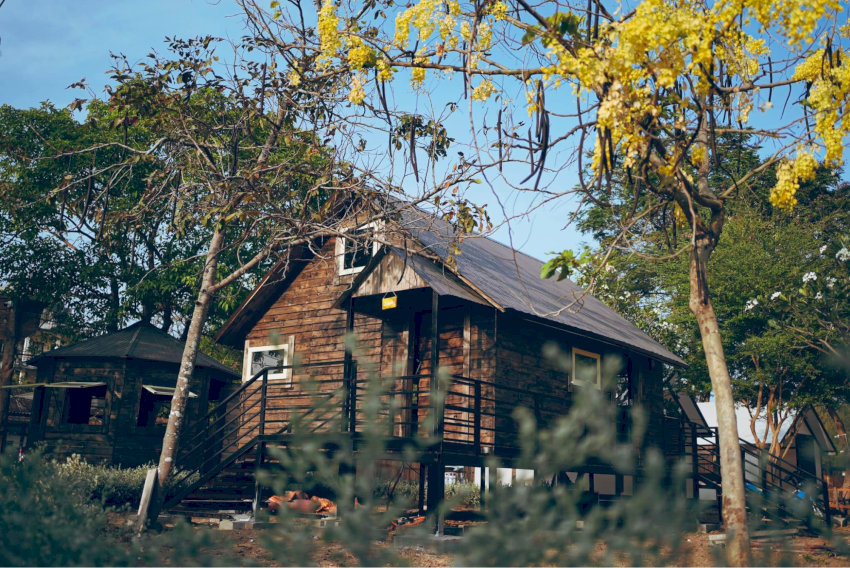 Lata Camping có các lựa chọn nhà gỗ sang trọng, phù hợp cho gia đình hoặc các nhóm bạn đông người muốn có không gian riêng tư