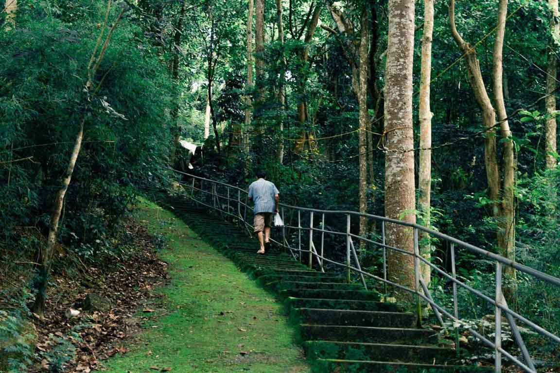 Sông suối Đá Vũng Tàu, địa điểm leo núi ở Việt Nam dễ đi