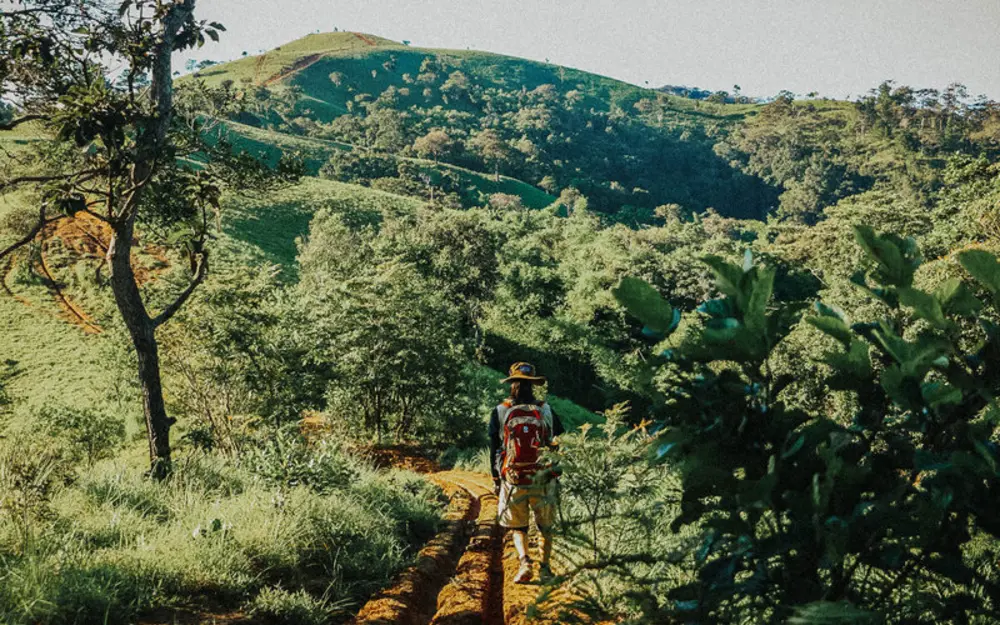 Trekker vượt qua địa hình dốc nhưng có lối mòn rõ ràng tại Tà Năng Phan Dũng