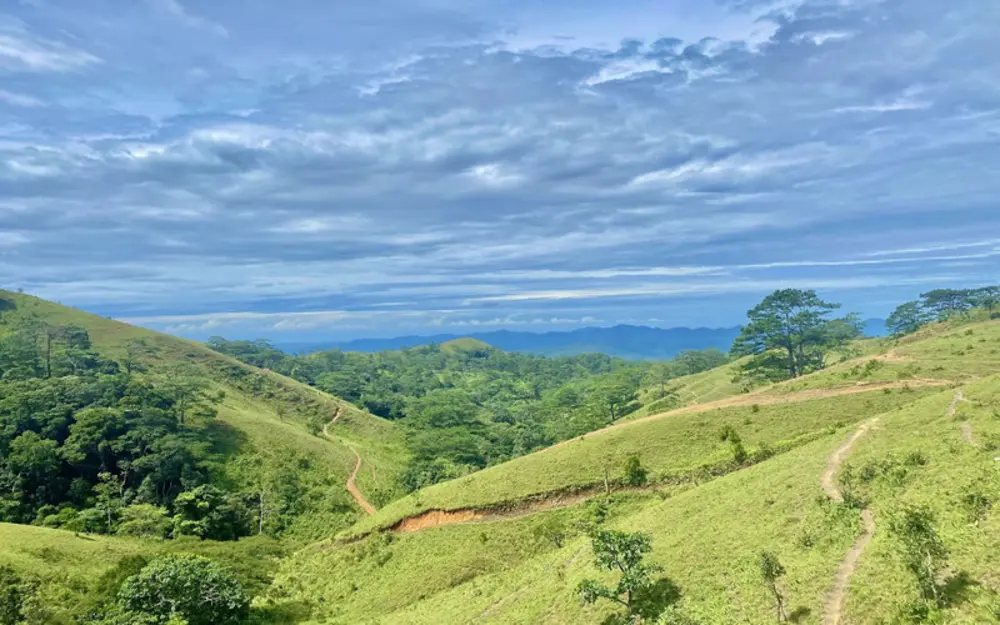 Cảnh sắc Tà Năng xanh mướt vào mùa cỏ xanh, lý tưởng cho trekking