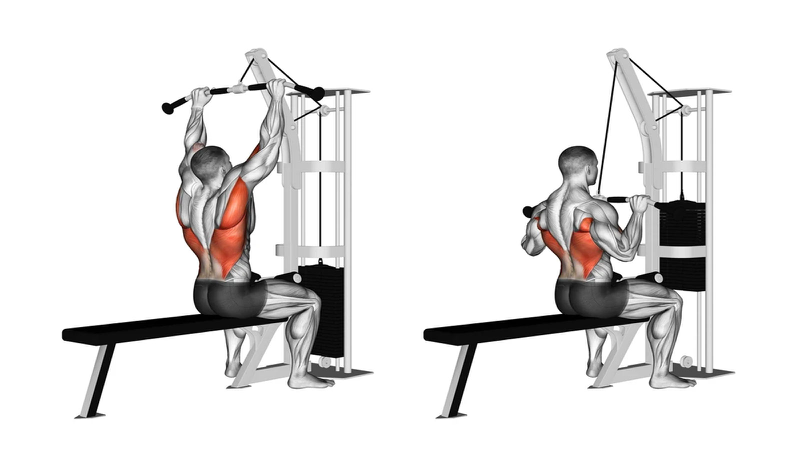 Người đàn ông tập các bài tập cơ lưng xô hiệu quả tại phòng gym