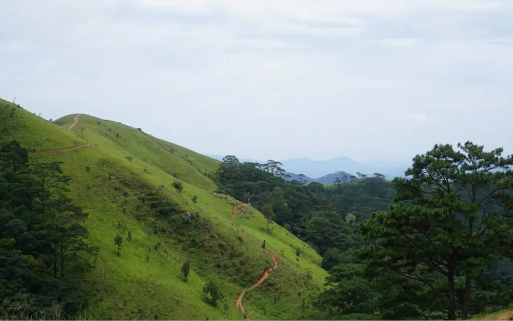 Khám phá hệ sinh thái đa dạng và cảnh quan biến đổi khi trekking Tà Năng