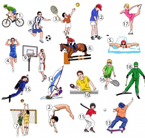 Bức ảnh tổng hợp các môn thể thao khác nhau, bao gồm bóng đá, bóng rổ, tennis và bơi lội