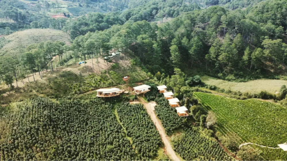 Twin Beans Farm có nhiều loại lều trại lưu trú cho bạn lựa chọn