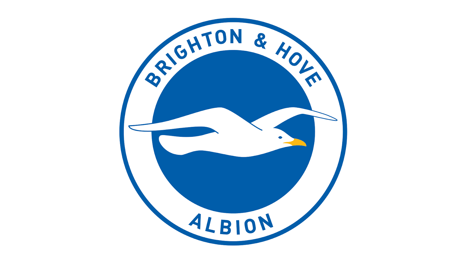 Logo Brighton & Hove Albion với hình chú chim mòng biển trắng đang bay