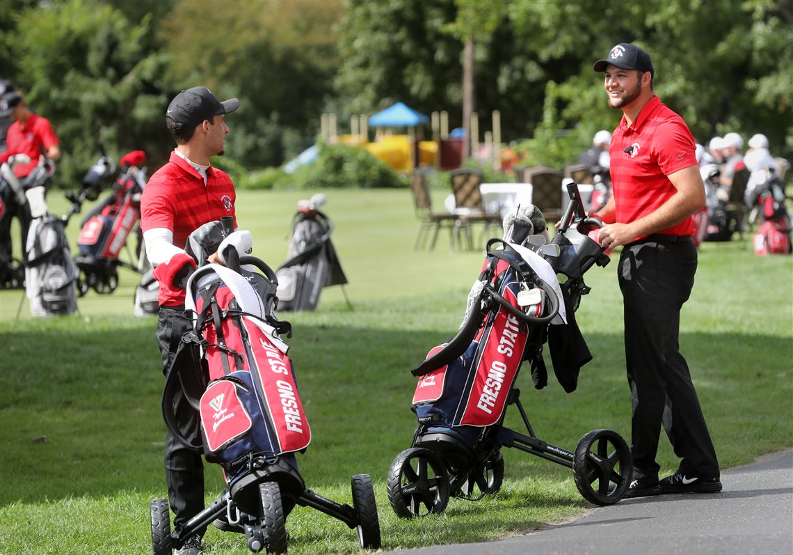 Hình ảnh xe đẩy buggy golf dạng đẩy phổ biến