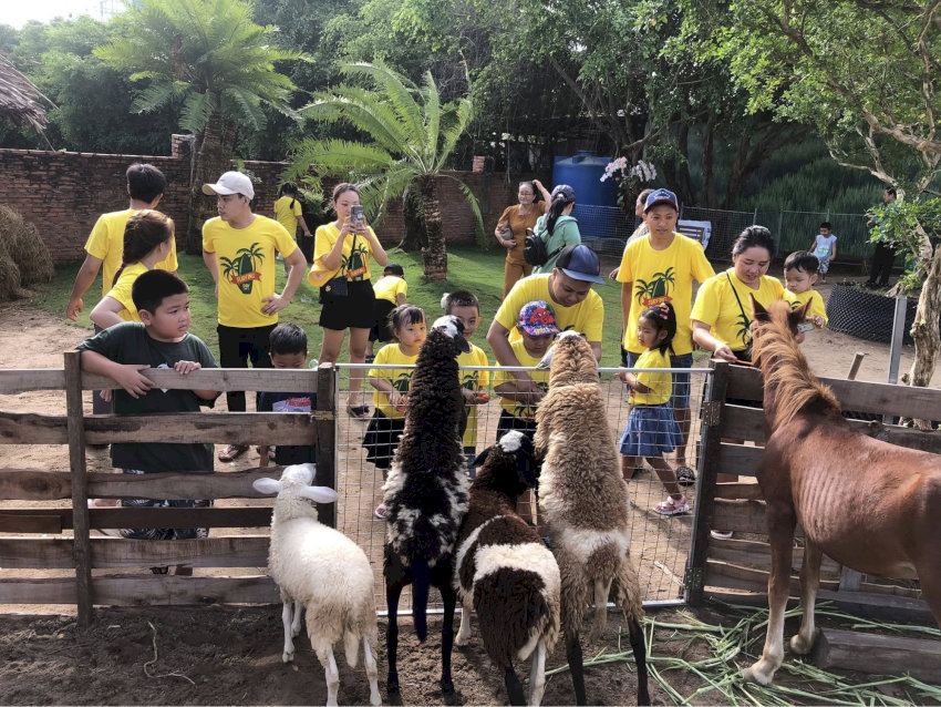 Vườn thú nhỏ tại Beach Camping Cần Giờ là điểm thu hút đặc biệt dành cho các em bé tham quan và tương tác với động vật đáng yêu