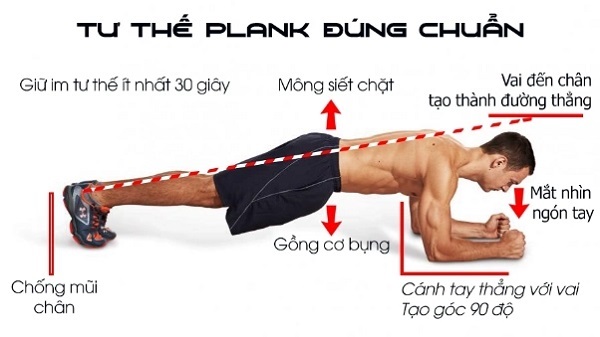 Tư thế plank đúng cách trên khuỷu tay giúp tăng cường cơ core