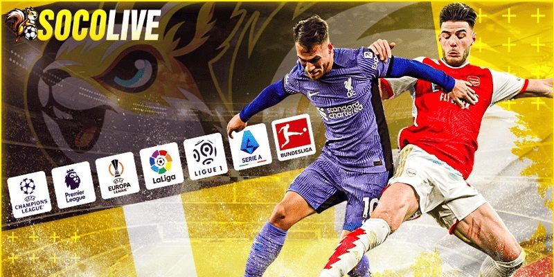 Câu lạc bộ bóng đá Gimcheon Sangmu thi đấu tại các giải K League 1 và K League 2