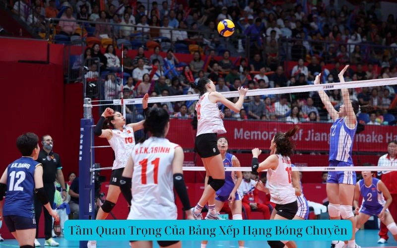 Tầm Quan Trọng Cua Bang Xep Hang Bong Chuyen