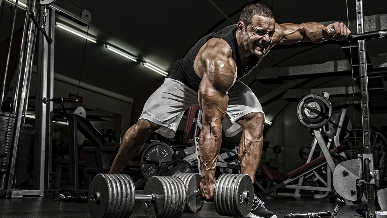Phân chia nhóm cơ khi tập gym để phục hồi tối ưu