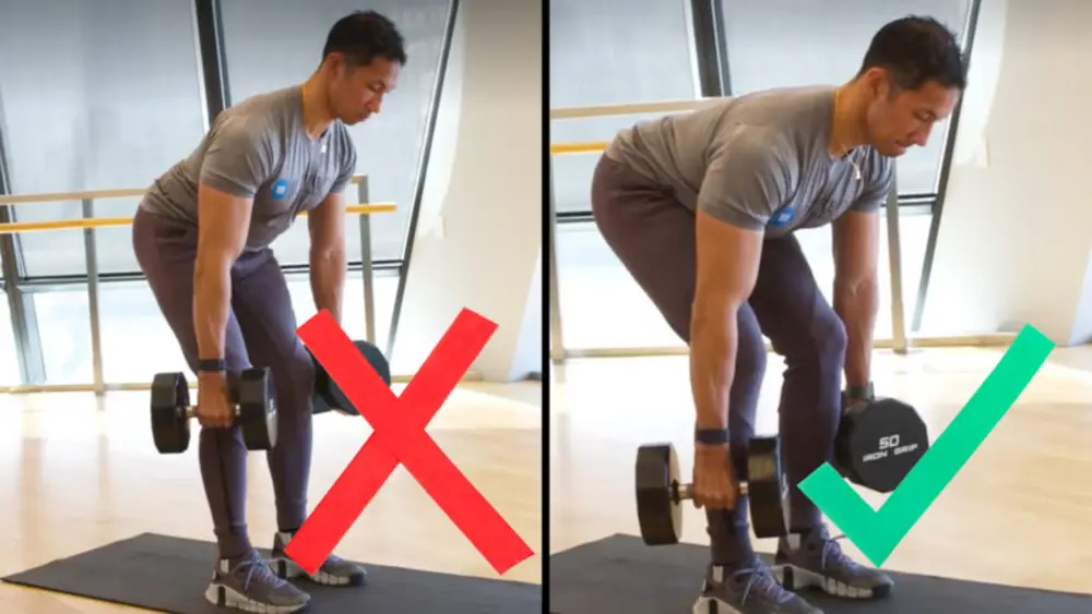 Dumbbell Pause Romanian Deadlift cải thiện cơ tay sau và nhóm cơ sau đùi