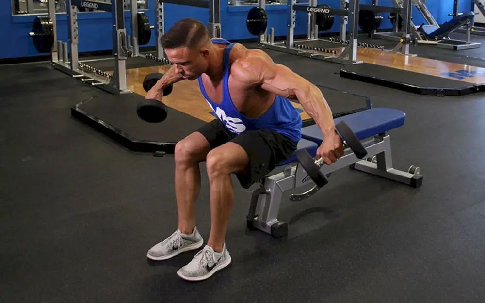 Bài tập vai Seated Bent Over Dumbbell Reverse Fly, người tập ngồi gập người và dang tạ đơn ra sau để tác động hiệu quả vào cơ vai sau.