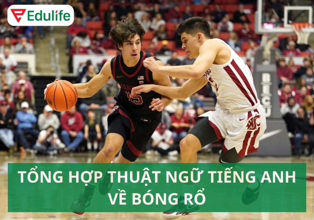 Bảng tổng hợp các thuật ngữ bóng rổ tiếng Anh