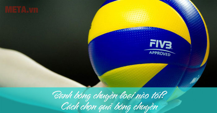 Hướng dẫn cách chọn bóng chuyền tốt nhất cho mọi hình thức chơi