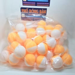 Bóng tập 2 màu 40+