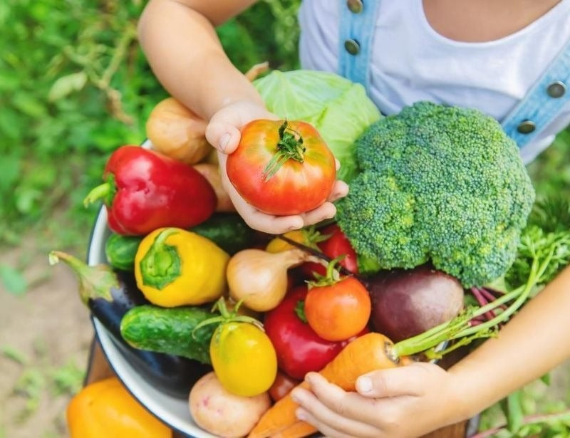 Bữa ăn nhẹ, dễ tiêu hóa như chuối và sữa chua là lựa chọn tốt trước khi đá bóng