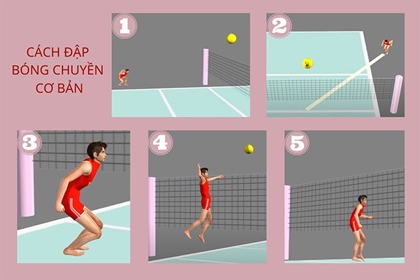 Các bước thực hiện kỹ thuật đập bóng chuyền hơi nữ xa lưới chuẩn xác và hiệu quả