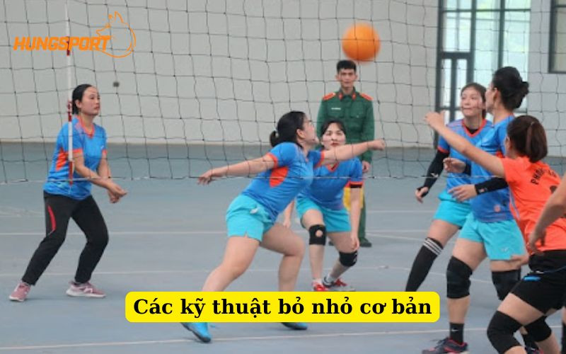 Các kỹ thuật bỏ nhỏ cơ bản trong bóng chuyền hơi