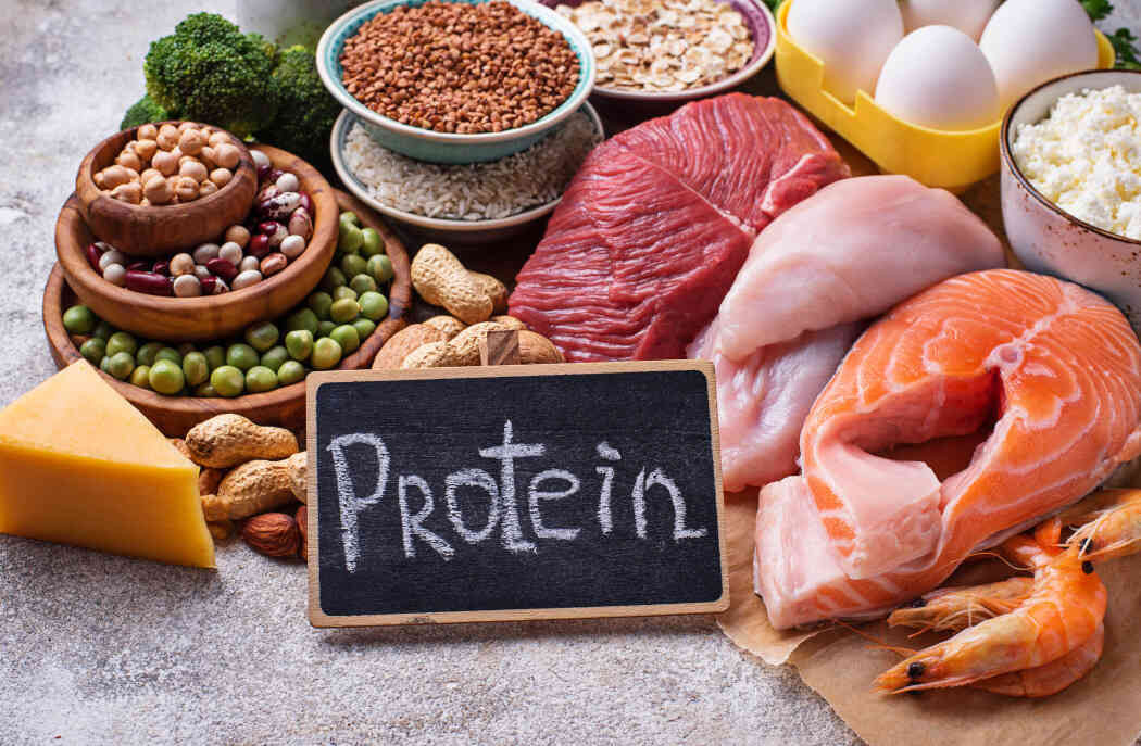 Các loại thực phẩm giàu Protein như thịt, trứng, cá, đậu nành, là thành phần quan trọng để xây dựng cơ bắp và phục hồi thể lực