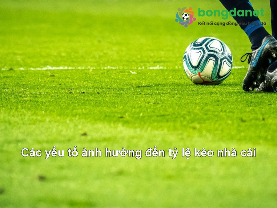 Các yếu tố tác động đến tỷ lệ nhà cái bóng đá và kèo cược