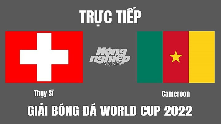 Cầu thủ Thụy Sĩ và Cameroon tranh bóng trên sân cỏ World Cup 2022