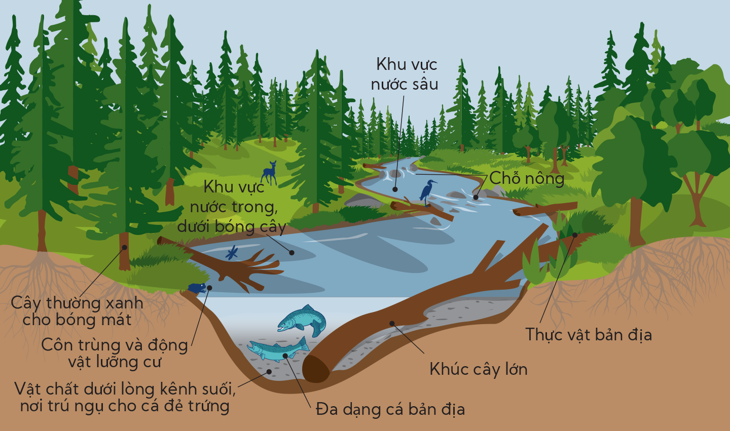 Giải pháp thoát nước cho sân ngập nước giúp duy trì chất lượng sân cỏ