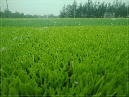 Chất lượng cỏ nhân tạo