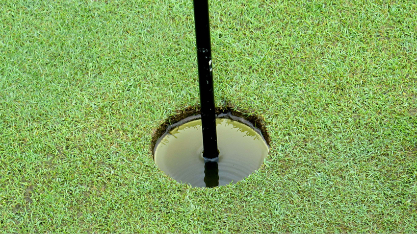 Cỏ Bentgrass mềm mại, tạo mặt sân lý tưởng cho các cú đánh chính xác