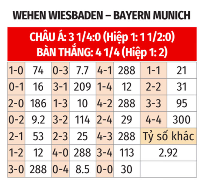 Diễn biến trận đấu Cúp Quốc gia Đức giữa Wehen Wiesbaden và đội bóng Bayern