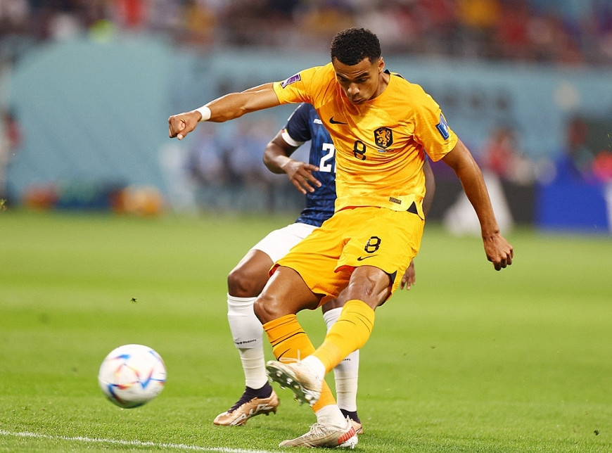 Đội tuyển Hà Lan thi đấu tại World Cup 2022 với trang phục màu cam truyền thống, tạo điểm nhấn cho link bóng đá World Cup 2022
