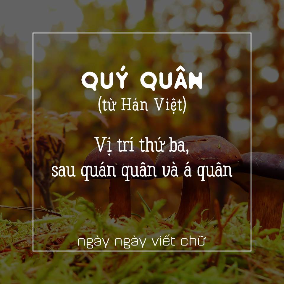 Giải thích thuật ngữ quý quân, vị trí thứ ba sau á quân trong các giải đấu thể thao