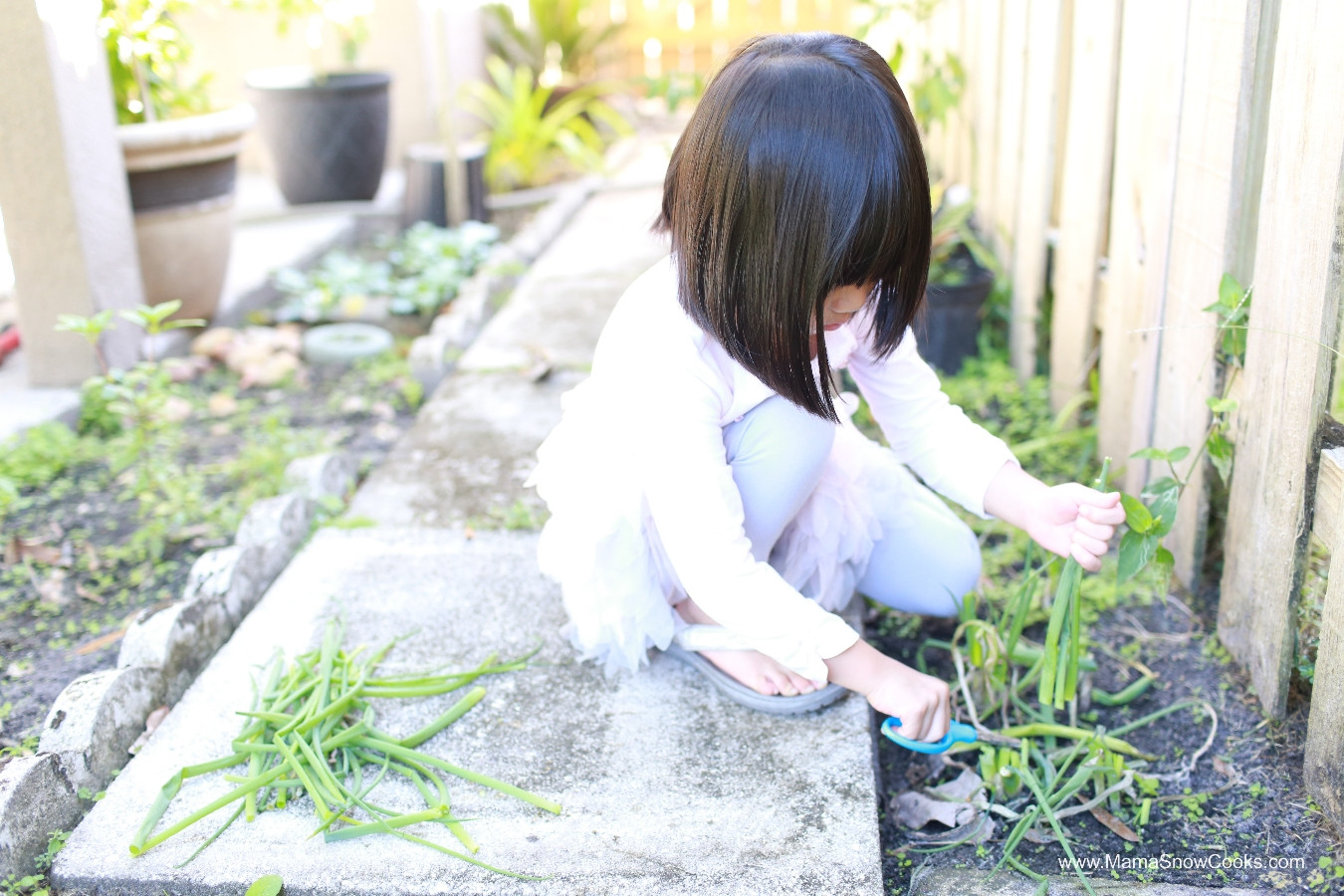 Hành lá tươi thu hoạch tại nhà, biểu tượng của sự chuẩn bị tỉ mỉ, như cách các cầu thủ bóng rổ rèn luyện kỹ năng