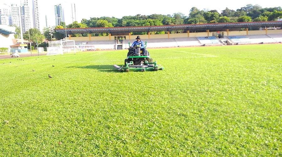 Hình ảnh một phần sân bóng đá cỏ tự nhiên đang trong quá trình thi công và hoàn thiện