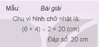 Hình chữ nhật minh họa các kích thước cơ bản của một khu vực thi đấu