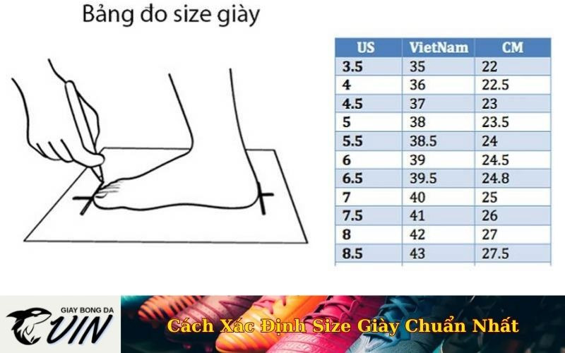 Hướng dẫn chi tiết cách xác định size giày đá bóng chuẩn xác cho bàn chân bè.