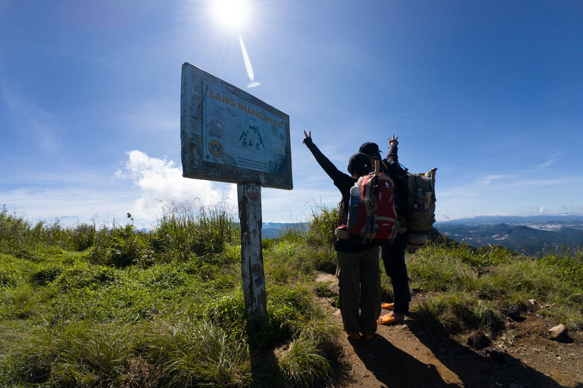 Hình ảnh cung đường trekking đầy thử thách trên Núi Langbiang với rừng thông bạt ngàn