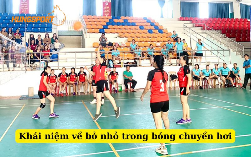 Khái niệm về bỏ nhỏ bóng chuyền hơi