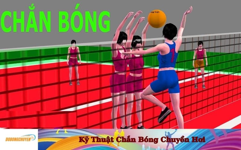 Kỹ Thuật Chắn Bóng Chuyền Hơi Hiệu Quả