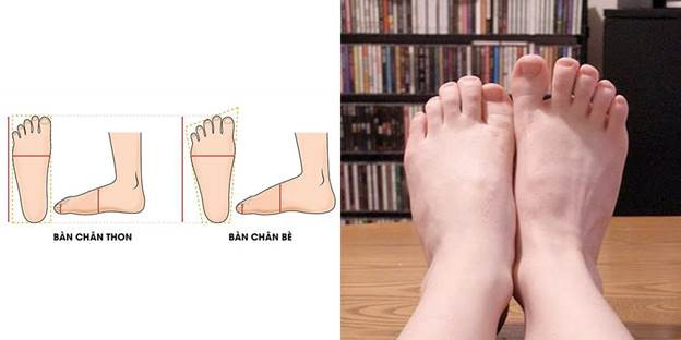  Minh họa sự khác biệt giữa form chân thon và chân bè giúp lựa chọn bảng size giày bóng đá tối ưu